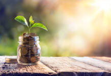 AdTech startup Screen-IT raises $250,000 in seed funding