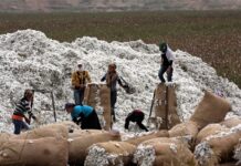 1,038 tonnes of Indian cotton yarn reaches Pakistan via Oman