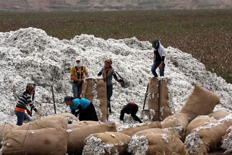 1,038 tonnes of Indian cotton yarn reaches Pakistan via Oman