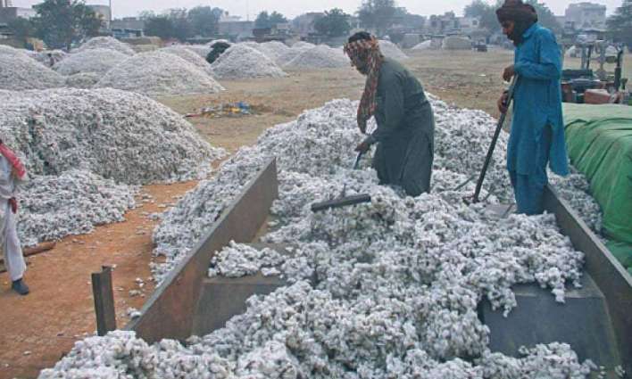 Sales tax on imported cotton raised to 10pc