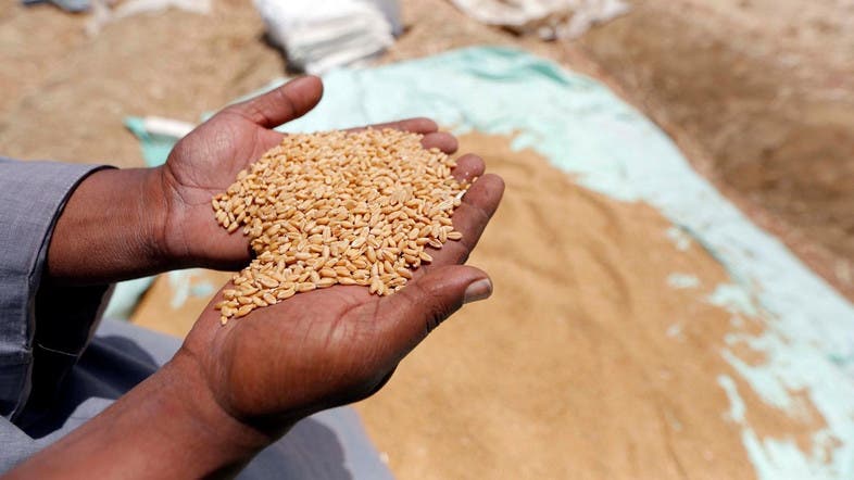 Flour crisis: Govt approves duty-free import of 0.3m tonnes of wheat