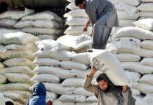 Licences of 28 mills suspended after flour crisis, LHC told Wheat flour 2