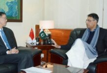 Govt to accelerate work on CPEC projects in 2020