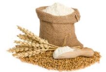 Flour shortage hits Rawalpindi and Islamabad after wheat supply halts