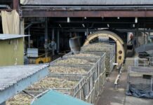 Husein Sugar Mills’ profit plunges 94.88pc