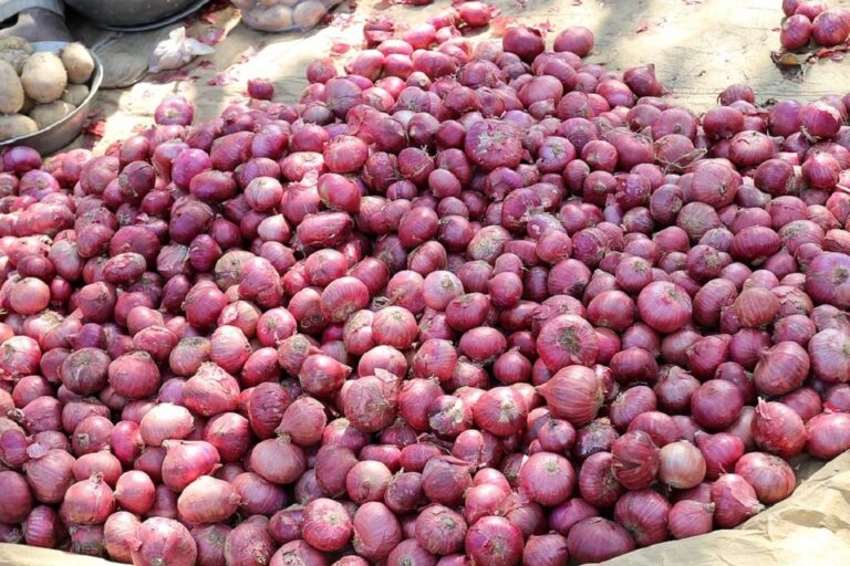 Punjab requests Centre to ban onion, red chilli exports