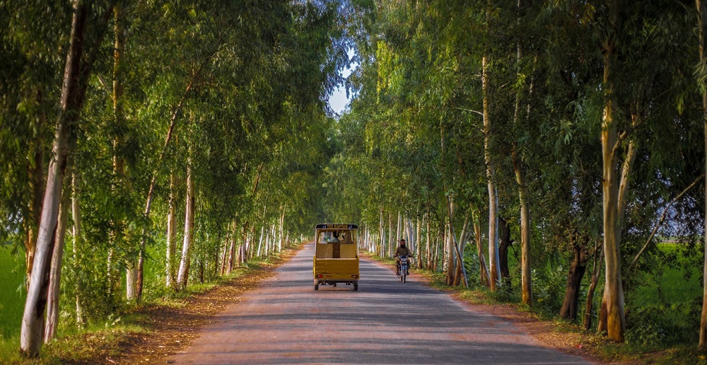 WB interested to fund Pakistan’s ecosystem initiative with $188m