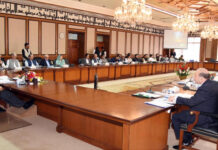 Cabinet to approve nominations for Monetary, Fiscal Policies Coordination Board Federal cabinet