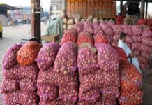 Govt notifies ban on onion exports amid 170 pending consignments Onion exports