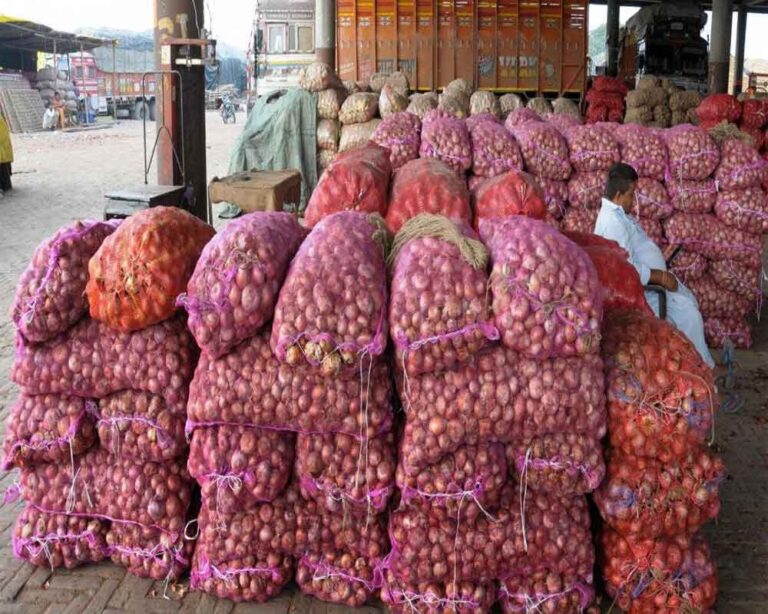 Onion exports