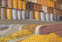 Subsidised solar irrigation system to reduce energy cost for pulse growers Pulse growers