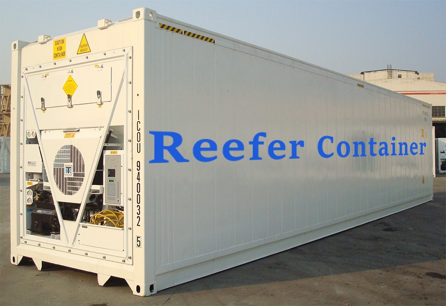 Shortage of reefer containers hampering horticulture exports: PFVA