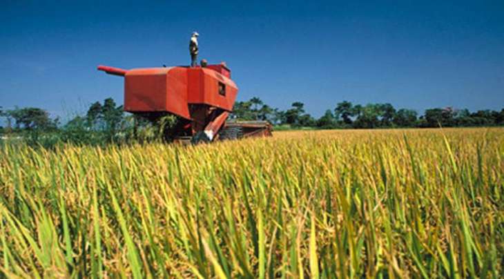 rural transformation