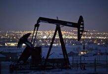 US crude hits 18-year low as lockdowns spread