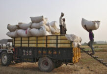 Wheat farmers face transportation issues amid lockdown in Sindh