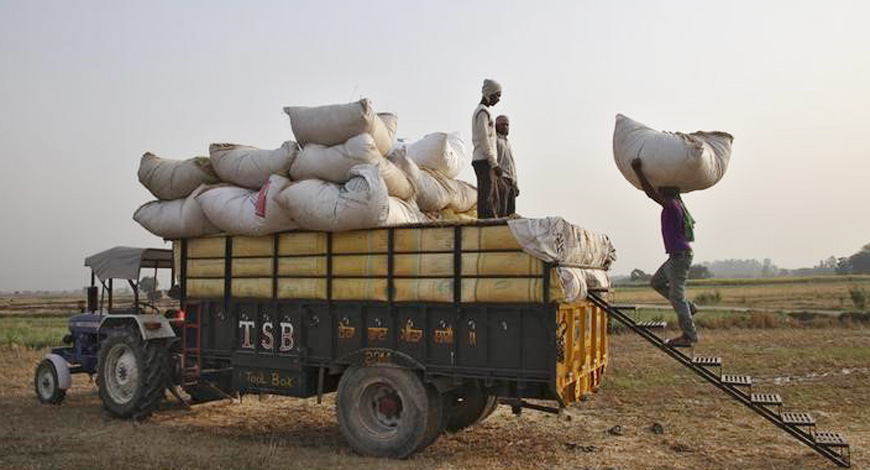 Wheat farmers face transportation issues amid lockdown in Sindh