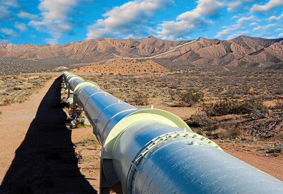 AGP rejects petro ministry's nominee for NSGP project