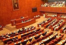 IT ministry only utilised 52pc of its annual budget, Senate body told
