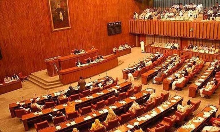 IT ministry only utilised 52pc of its annual budget, Senate body told