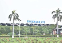Packages Limited posts 76pc fall in consolidated profit