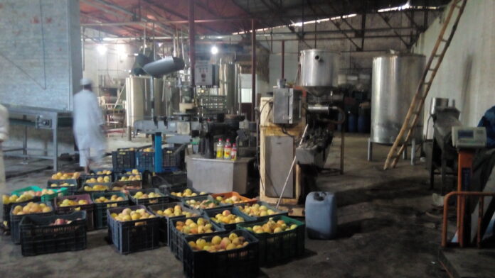 Fruit processing unit