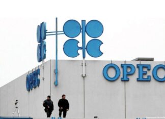 OPEC+ members to undergo annual oil capacity audit under new plan, sources say