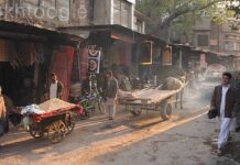 Covid-19: KP’s largest wholesale market faces closure Peepal Mandi-Peshawar