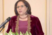 CPEC to march forward as scheduled despite COVID-19 epidemic