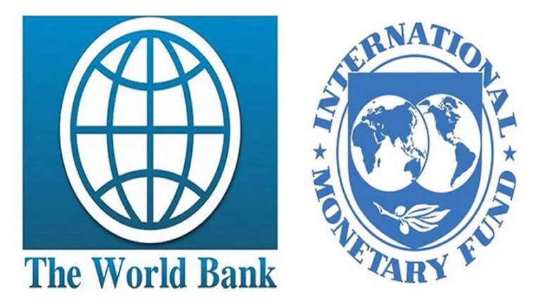 World Bank, IMF call for suspending debt payment by developing countries