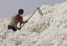 Govt’s intervention sought as ginning industry fights for survival