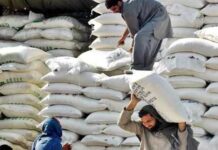 Poor planning, flour mills’ malpractices caused wheat crisis, inquiry reveals
