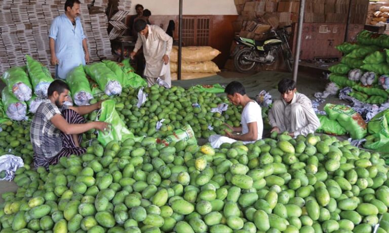 Govt urged to ensure availability of labourers for upcoming mango season