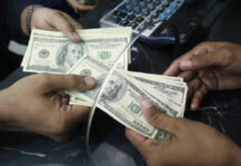 PIDE predicts up to 14pc decrease in remittances