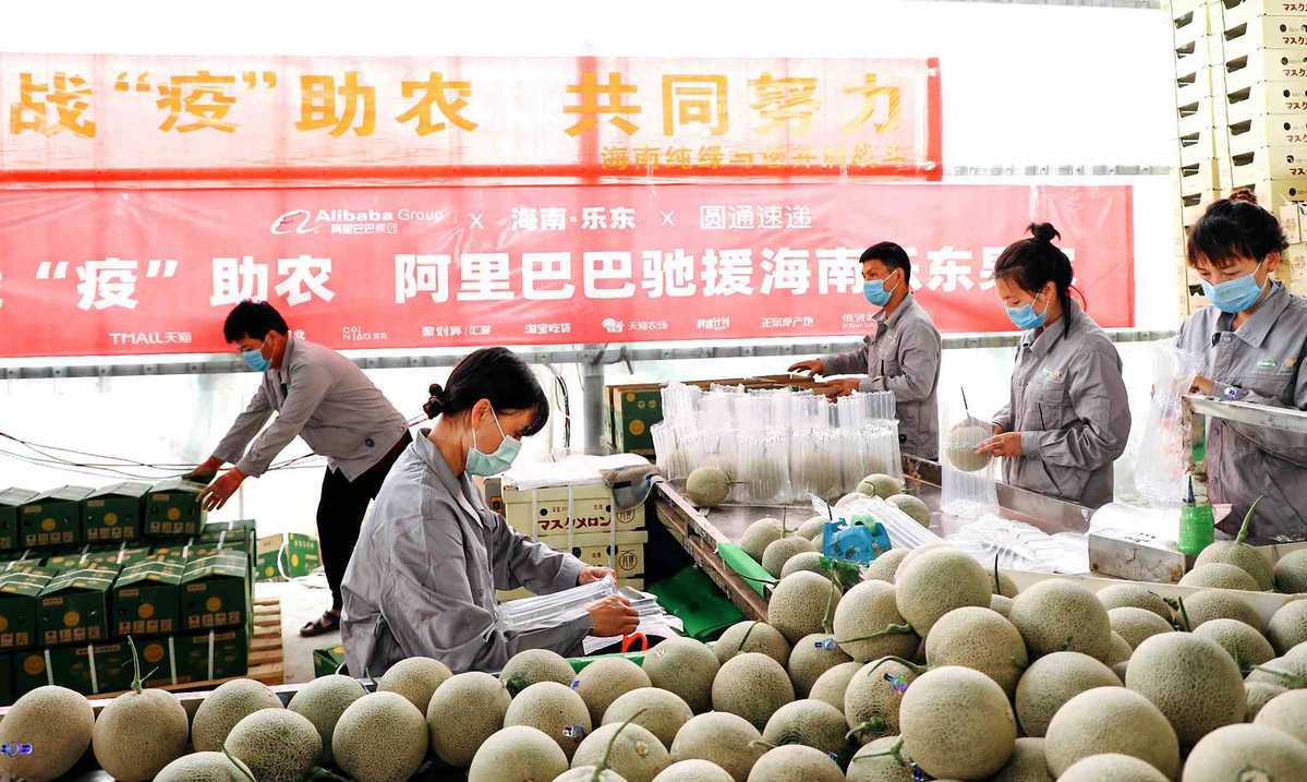 Eating in the coronavirus era: global food security in question