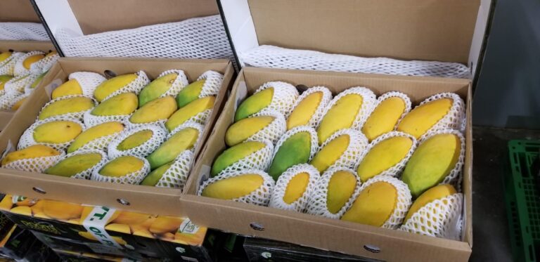 Mangoes