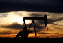 Oil drops on US inventories and doubts over output cuts Oil producers