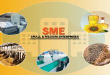 SMEs propel economy with 40% GDP contribution, Senate Committee SMEs