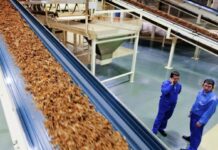 Tobacco sector lobbying for tax concessions in upcoming budget Tobacco manufacturing