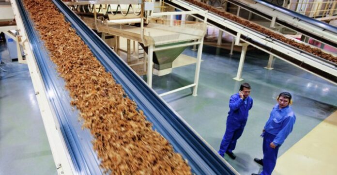 Tobacco manufacturing
