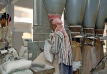 Punjab flour millers to go on strike against govt raids