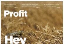 The time for quick fixes at PIA is over