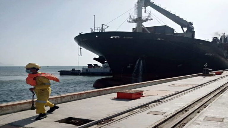 First cargo ship carrying wheat, urea reaches Gwadar: Asim