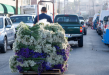 US jobless claims keep climbing to hit 38.6mln since lockdowns