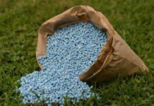 Surge in gas tariffs likely to trigger jump in urea prices