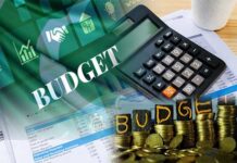 The budget of Ls: Explained by economists