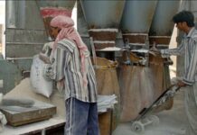 KP millers threaten protest if ban on wheat supply not lifted