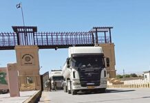 Mango exporters welcome opening of borders with Iran, Afghanistan