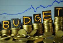 Govt to offer sector-specific subsidies in upcoming budget