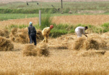 KP govt to seek Rs24bn more in agri loans from World Bank