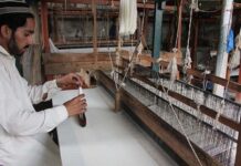 Govt urged to take pragmatic steps for development of small industries